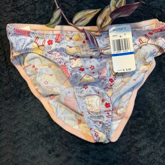 Warner's Other - VINTAGE NWT NOS WARNERS Y2K 90s SECOND SKIN LINGERIE BIKINI SATIN NYLON PANTIES